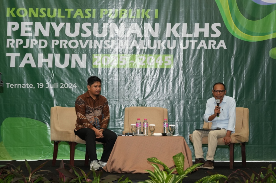 Penyusunan KLHS RPJPD